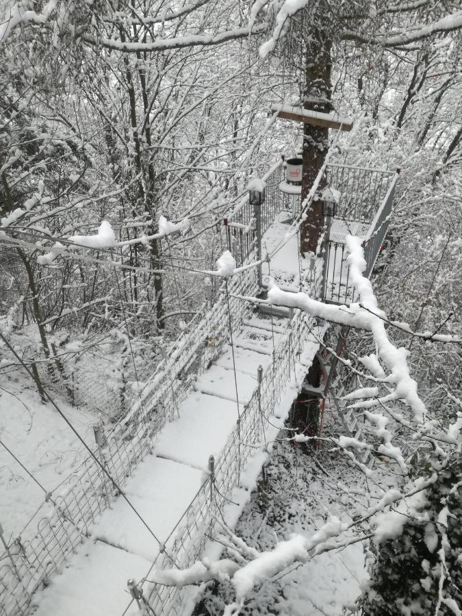 Appartamento Ferienhaus Wasgaublick Bundenthal Esterno foto