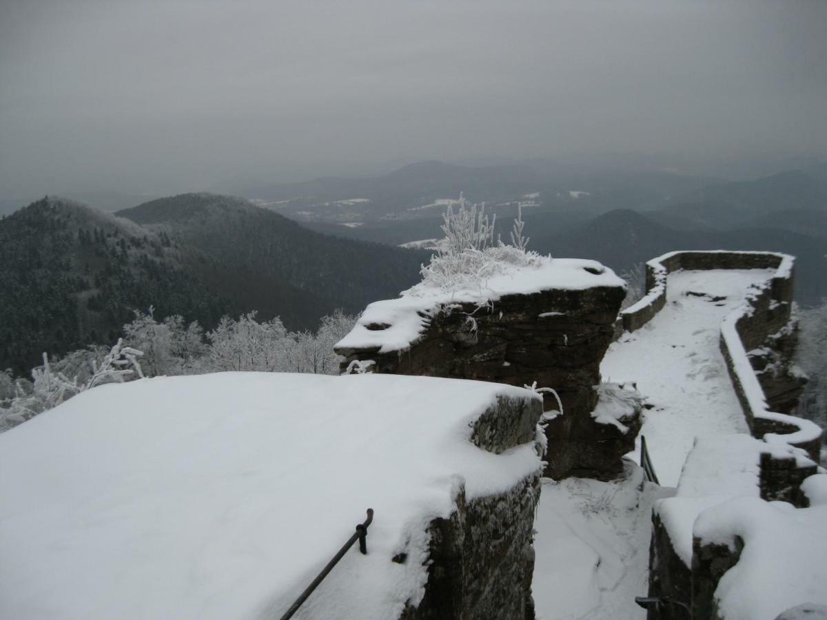 Appartamento Ferienhaus Wasgaublick Bundenthal Esterno foto