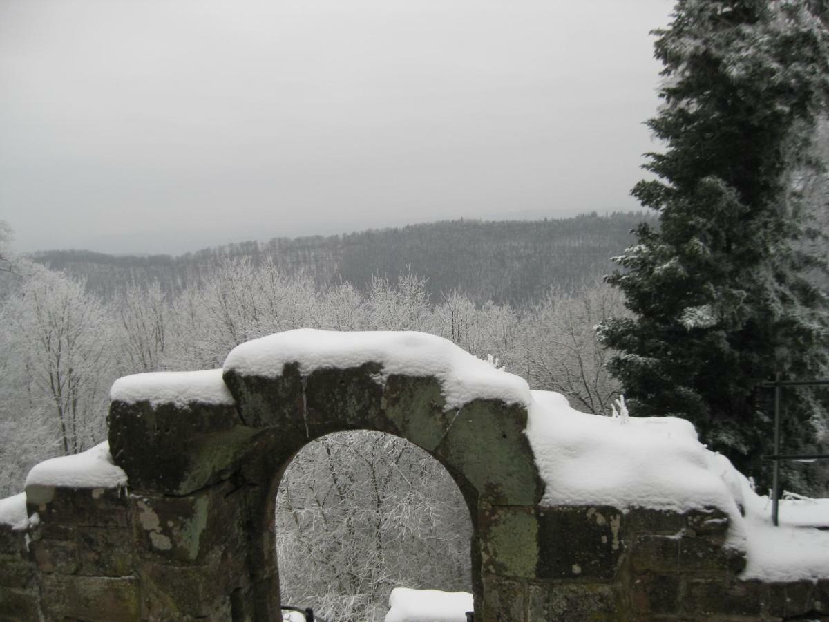Appartamento Ferienhaus Wasgaublick Bundenthal Esterno foto